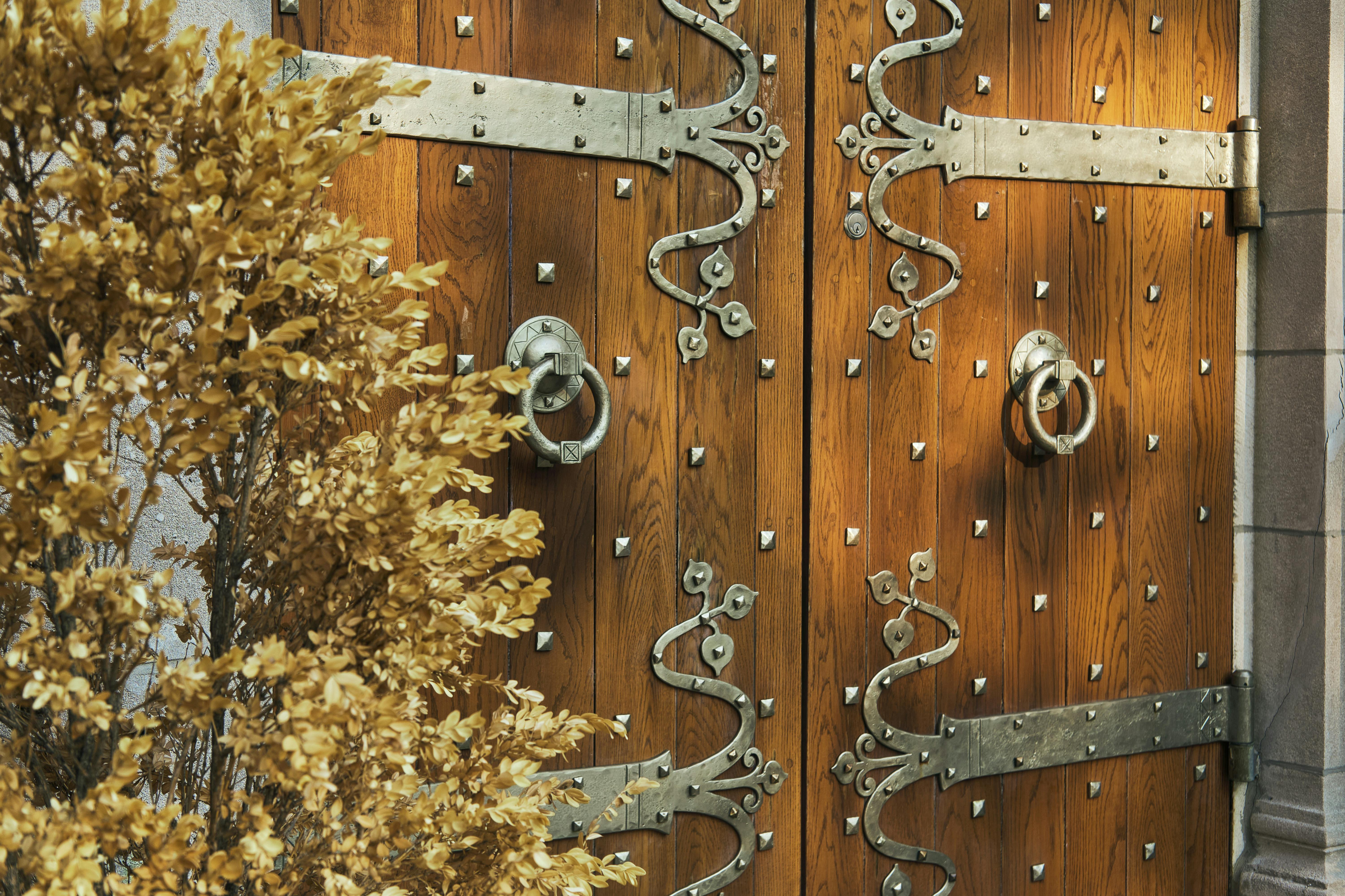 Elegant entry door showcasing superior craftsmanship and modern design